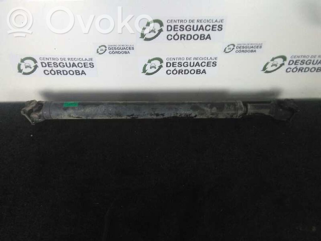 Vidējais kardāns   491003E320,TRASERA1TRAMO
