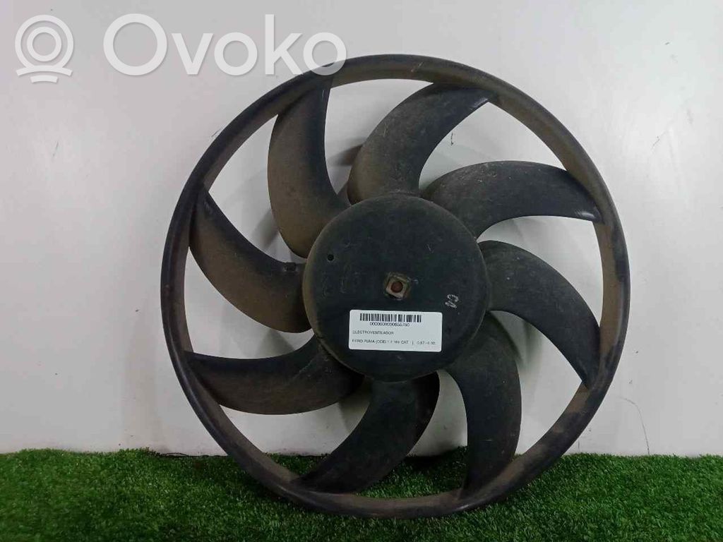 Electric radiator cooling fan   2PINES