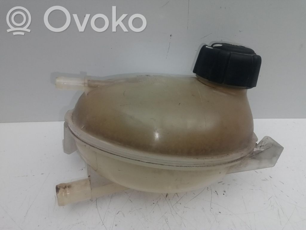Vas expansiune combustibil   217107259R