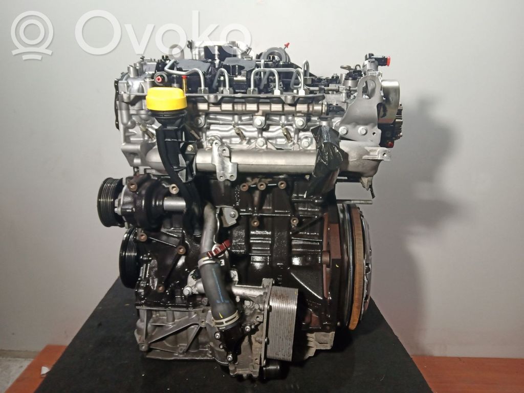 Variklis   M9R744