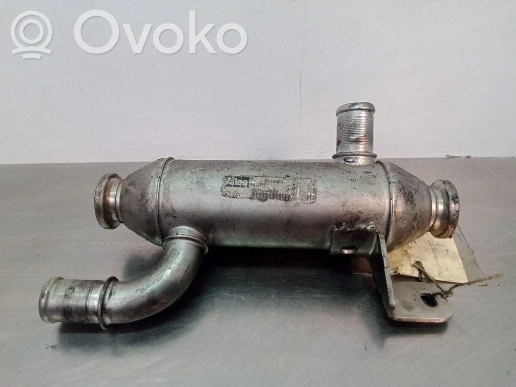 Zawór EGR   861059G9627242880
