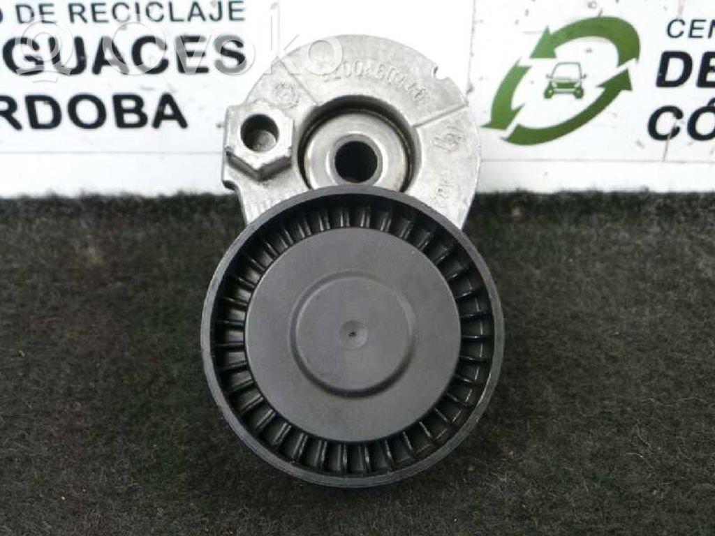 Diržo įtempėjas   8200460446