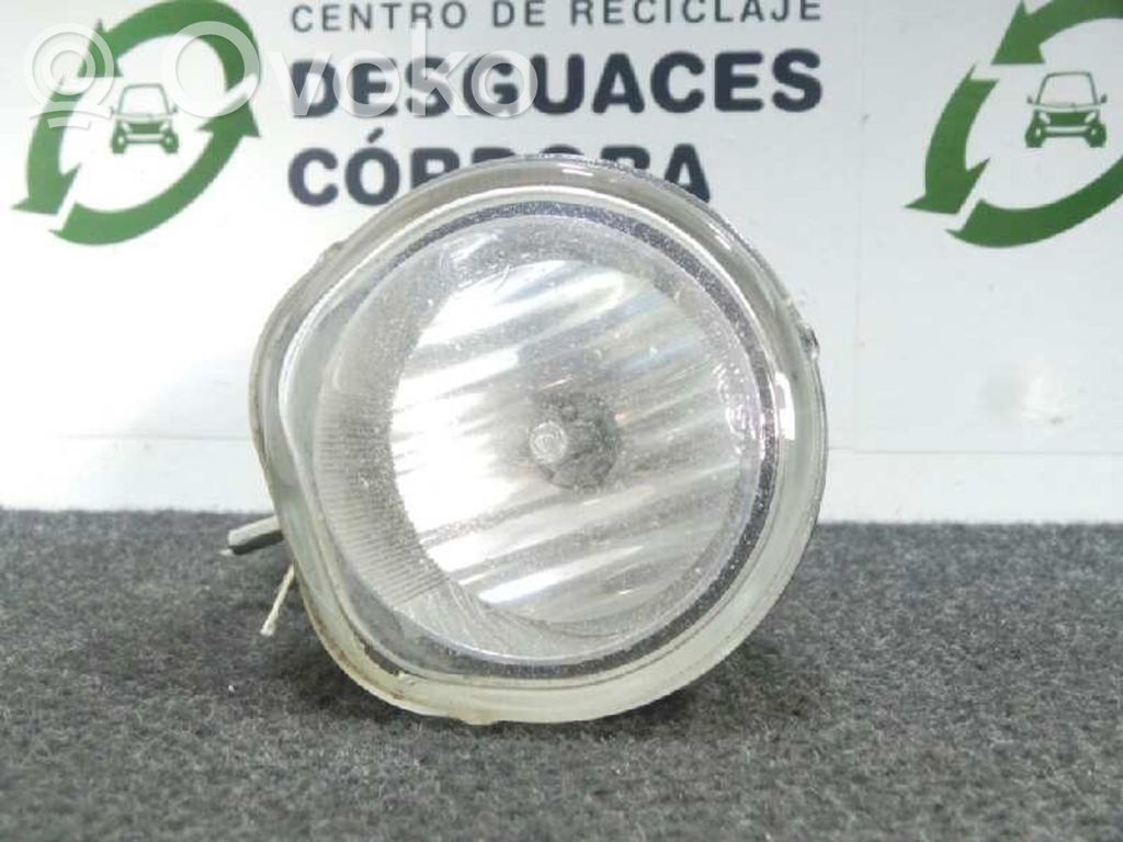 Miglas lukturis priekšā   370407486,2PINES