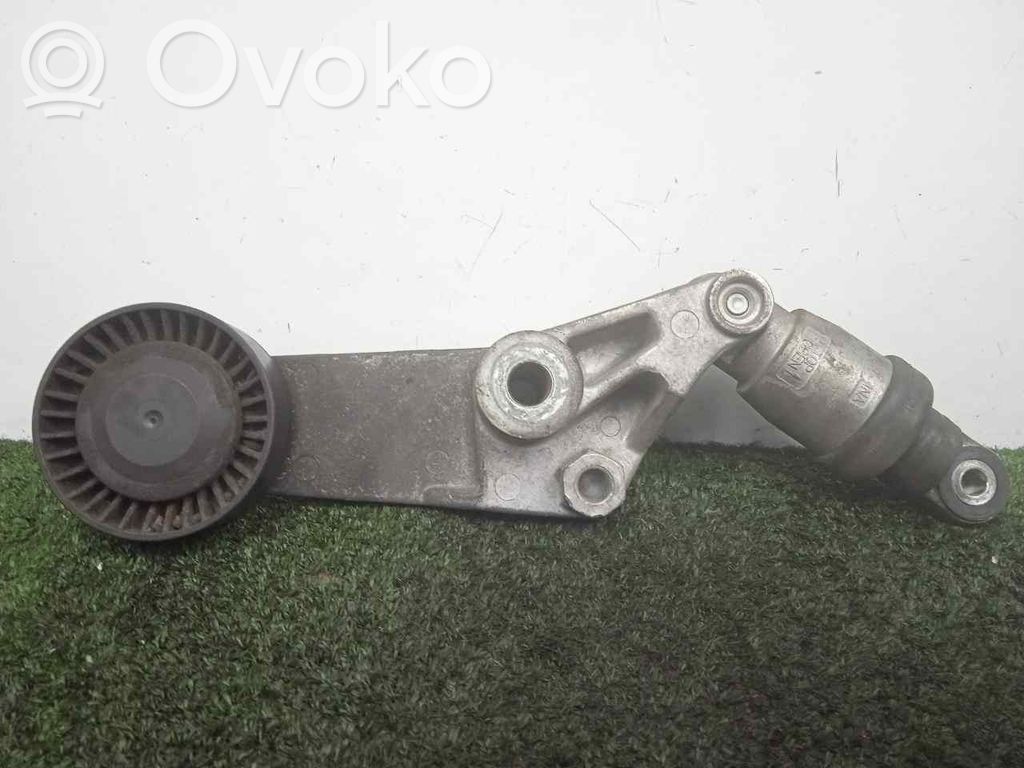 Napinacz paska alternatora   F22623952262395