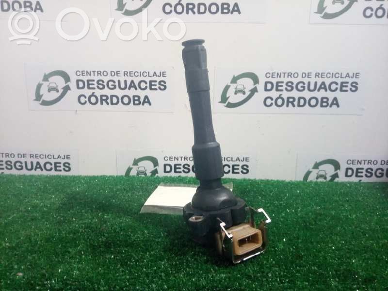 High voltage ignition coil   174801711860