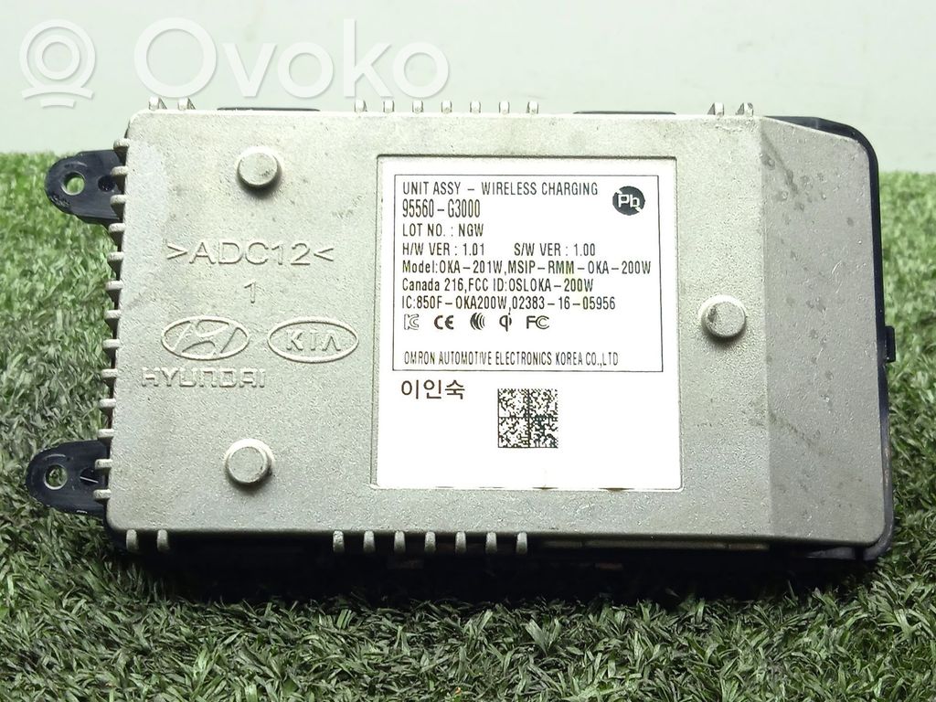 Sonstige Steuergeräte / Module   95560G3000
