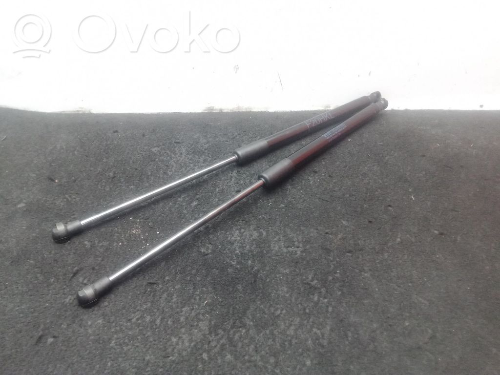 Amortizatorius galinio dangčio   470N