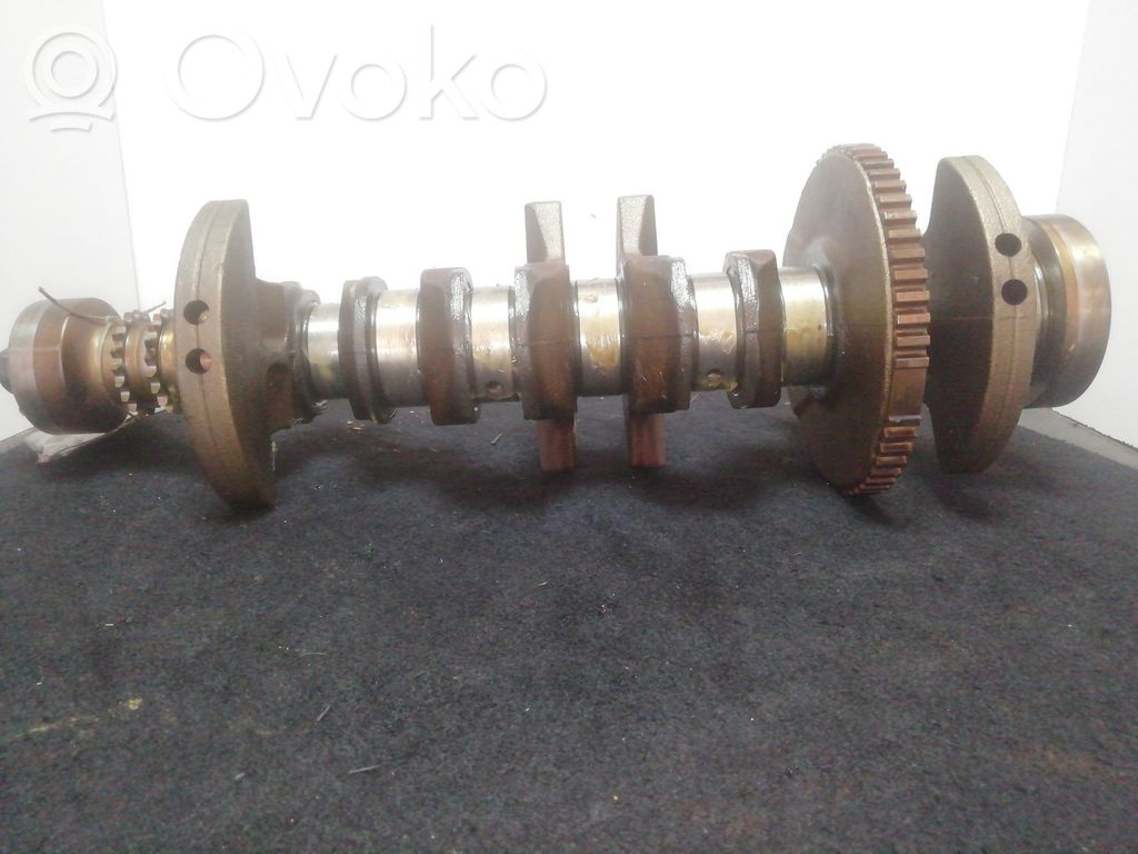 Kloķvārpsta   HUB81579