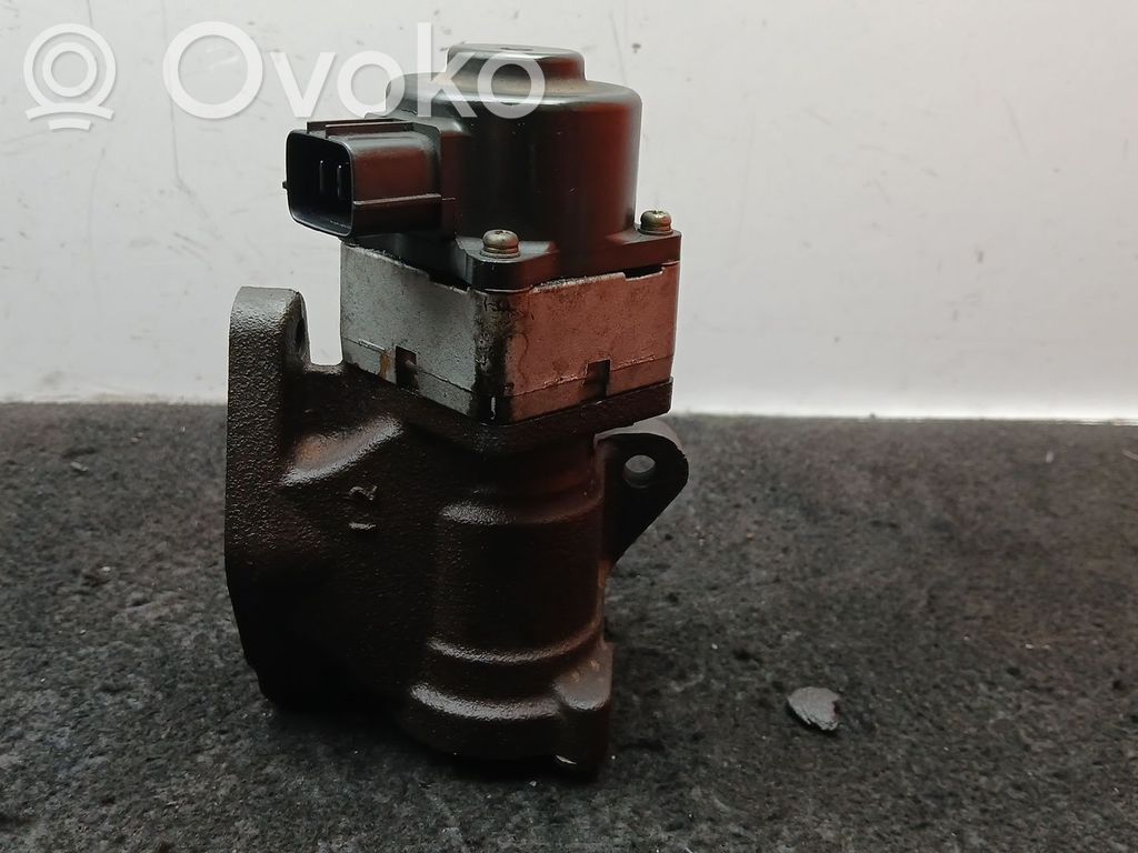 Nissan Pathfinder R51 Válvula EGR