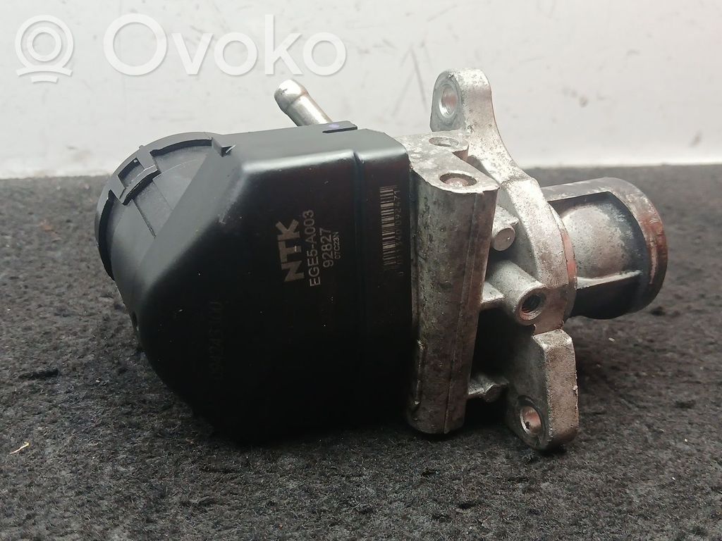 Supapă EGR   094243300,NTK