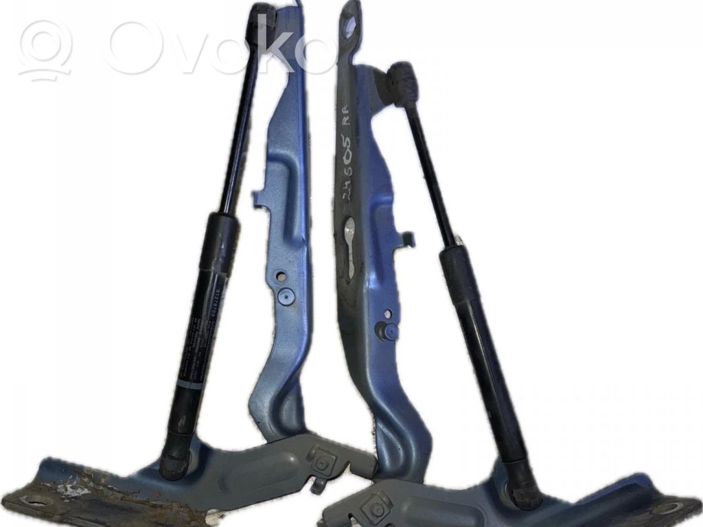 Engine bonnet/hood hinges