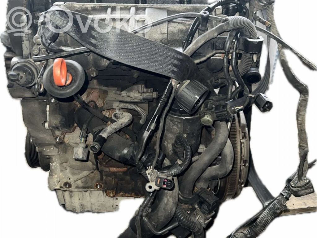 Motor