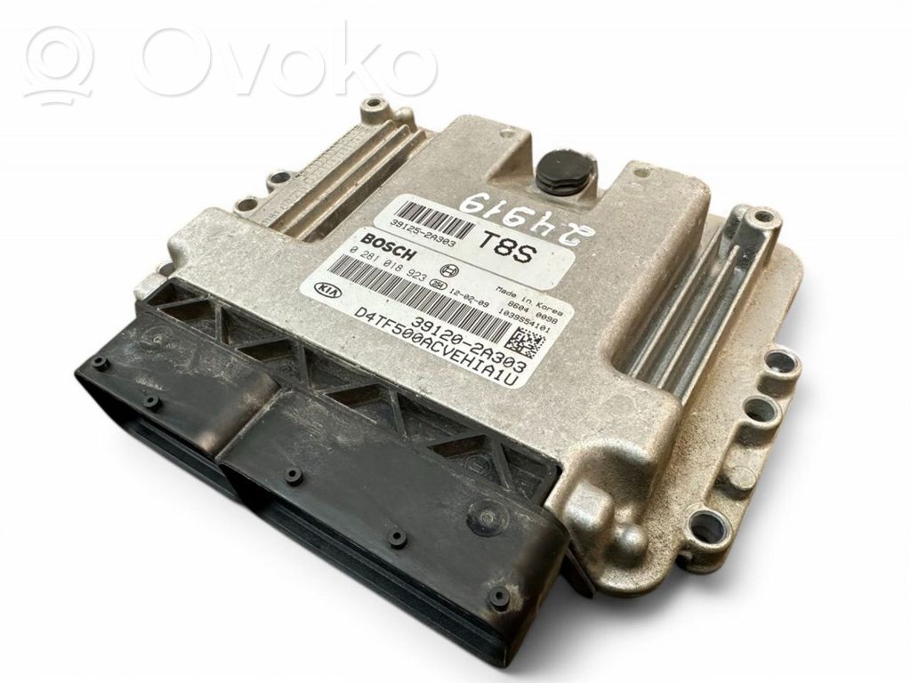 Engine control unit/module   391202A303,391202A303