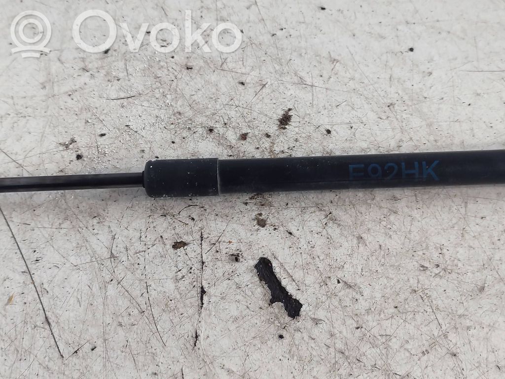 Tailgate/trunk strut/damper   7129194,3539XC02,20710CG06