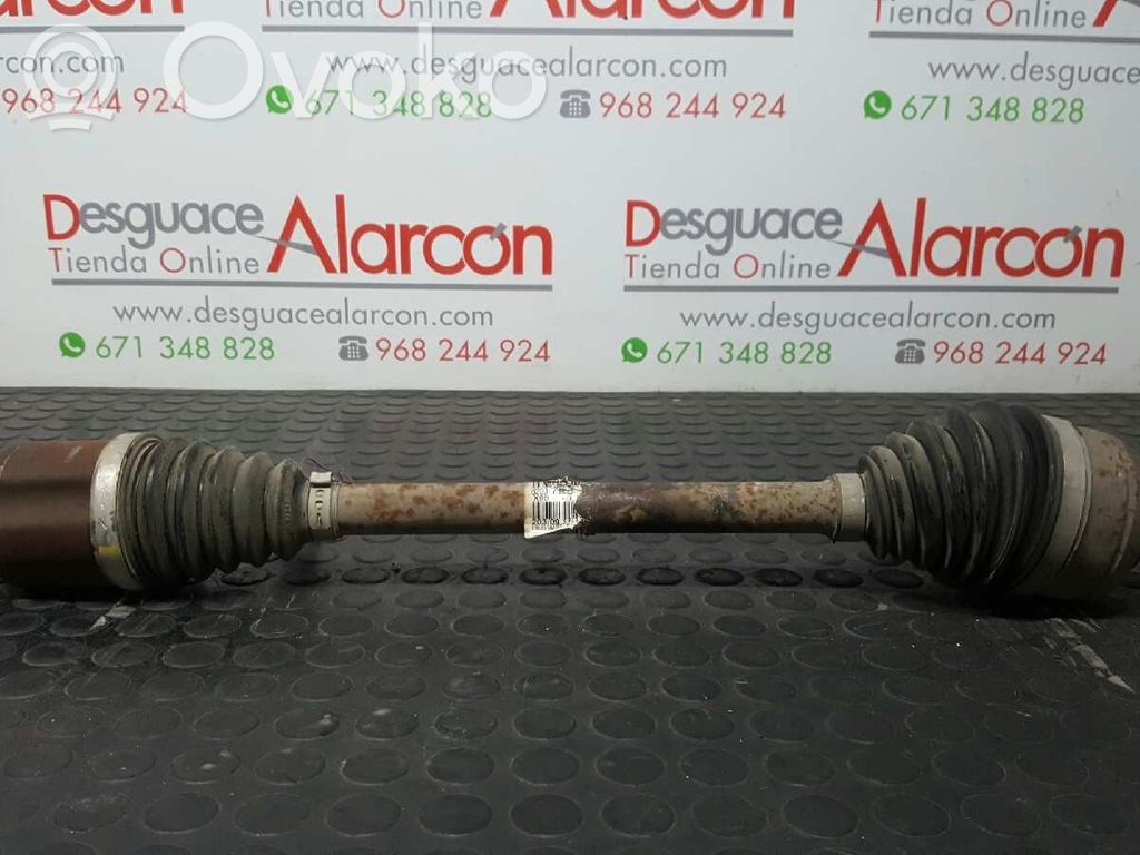 Semiasse anteriore   8200725499,7711497435