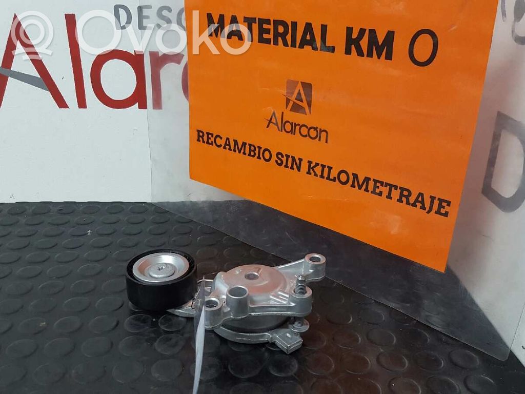 Citroen C4 Grand Picasso Tendicinghia generatore/alternatore 