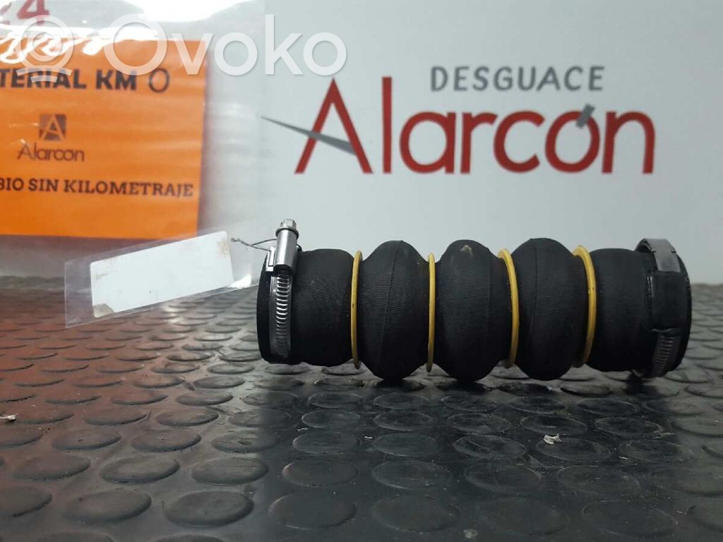 Citroen DS4 Alte piese de exterior 