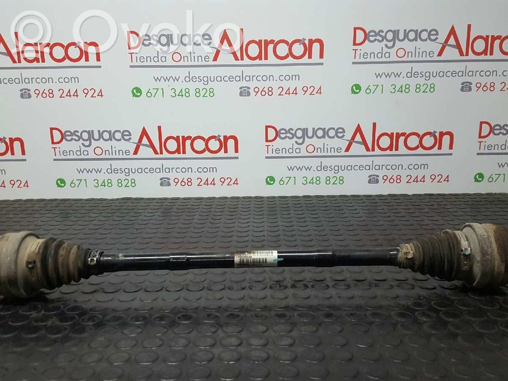 Antriebswelle hinten   36000930,T080204,P30735565