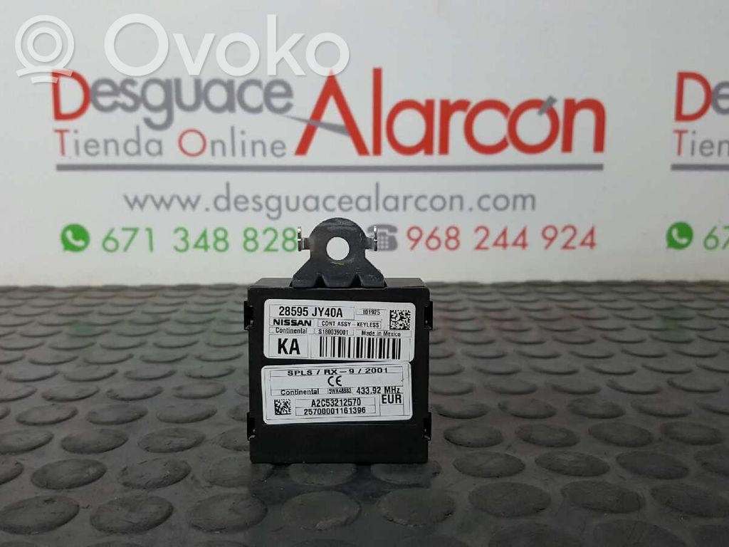Alte unități/module de control   28595JY40A,25700001161396