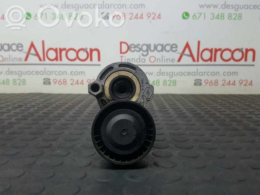 Renault Clio IV Tendicinghia generatore/alternatore