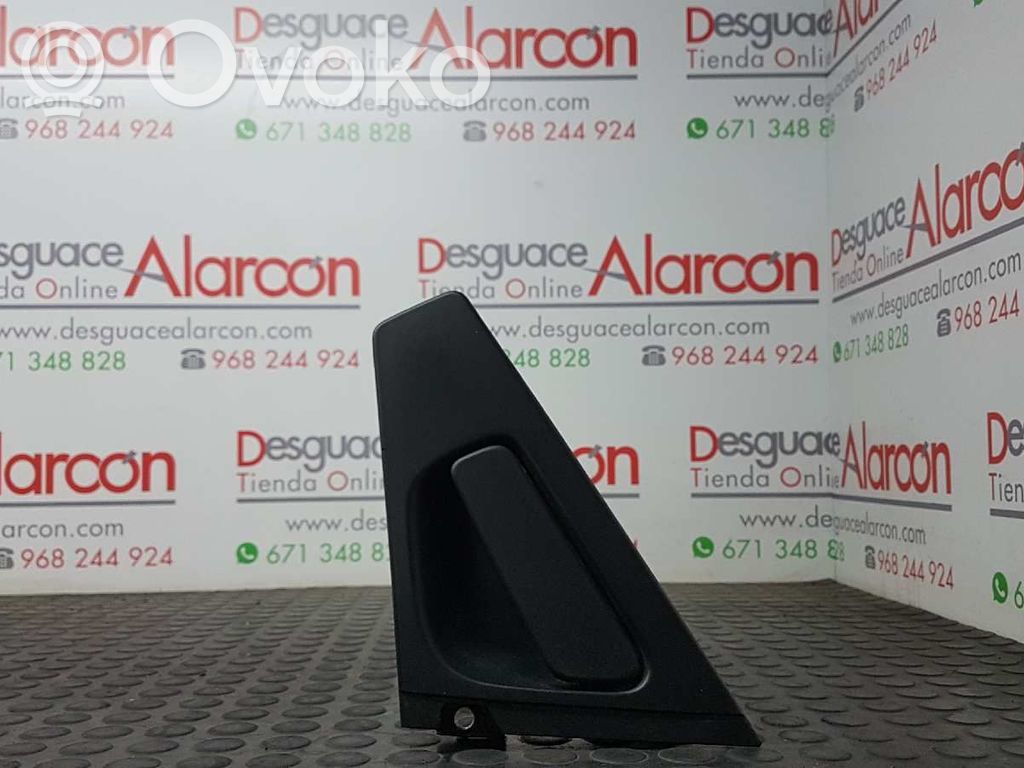 Manecilla externa puerta trasera   806064967R