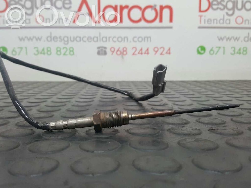 Anturi   226401632R