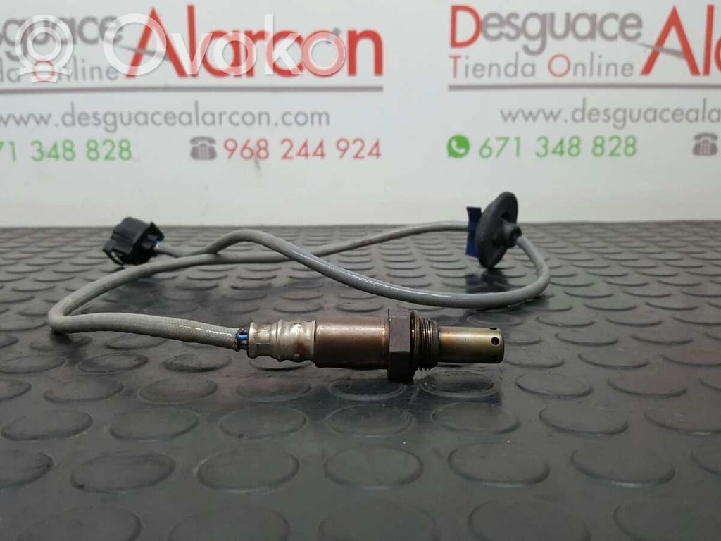 Sonda lambda   1491006832,6832