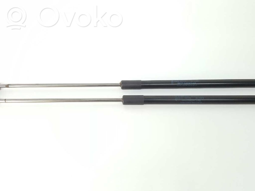 Ford Focus Tailgate/trunk strut/damper 