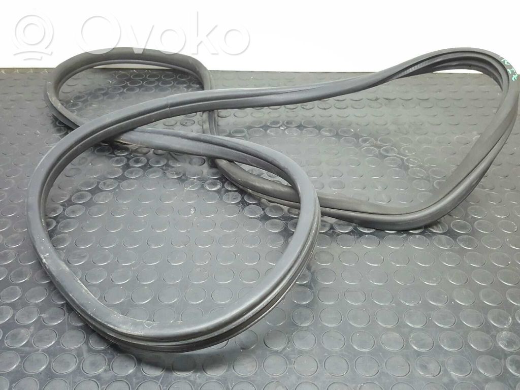 BMW X6 E71 Gumowa uszczelka drzwi przednich 