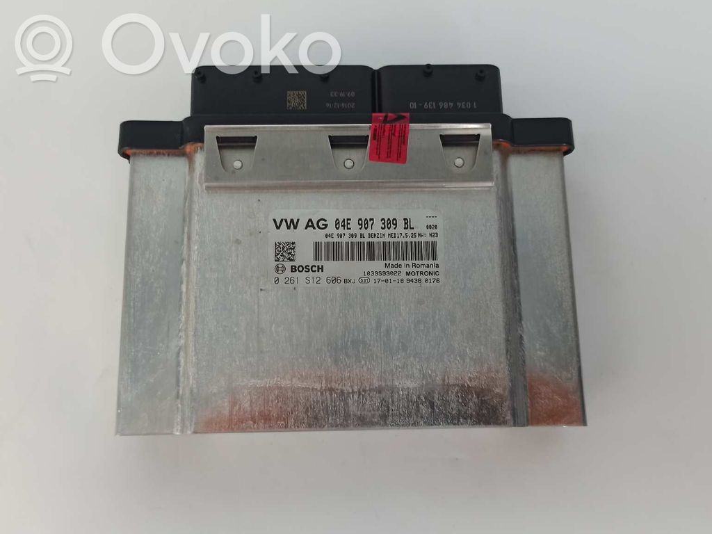 Engine control unit/module   04E907309BL