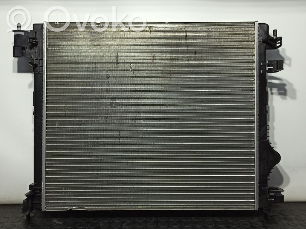 Radiatore di raffreddamento   214101527R,M169139J