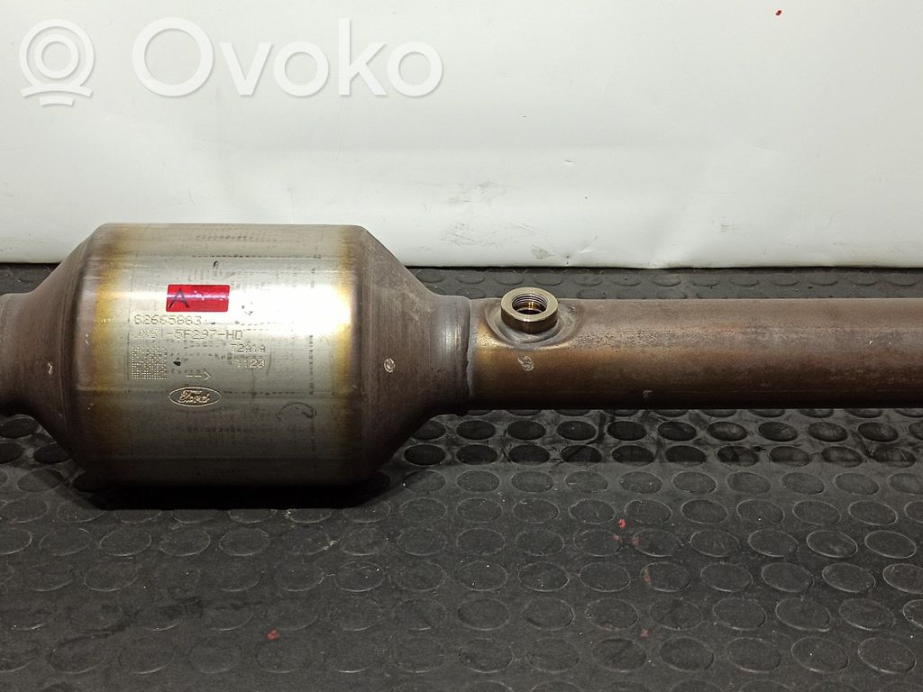 Filtr cząstek stałych Katalizator / FAP / DPF   2520046