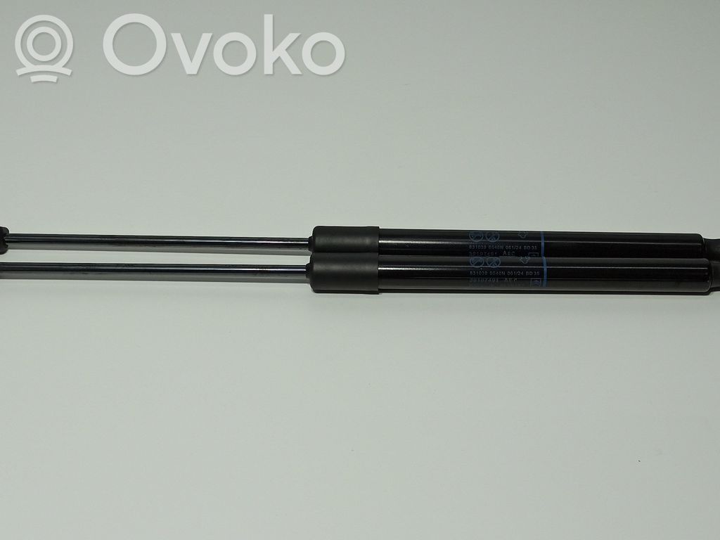 Citroen C3 Amortizor hayon