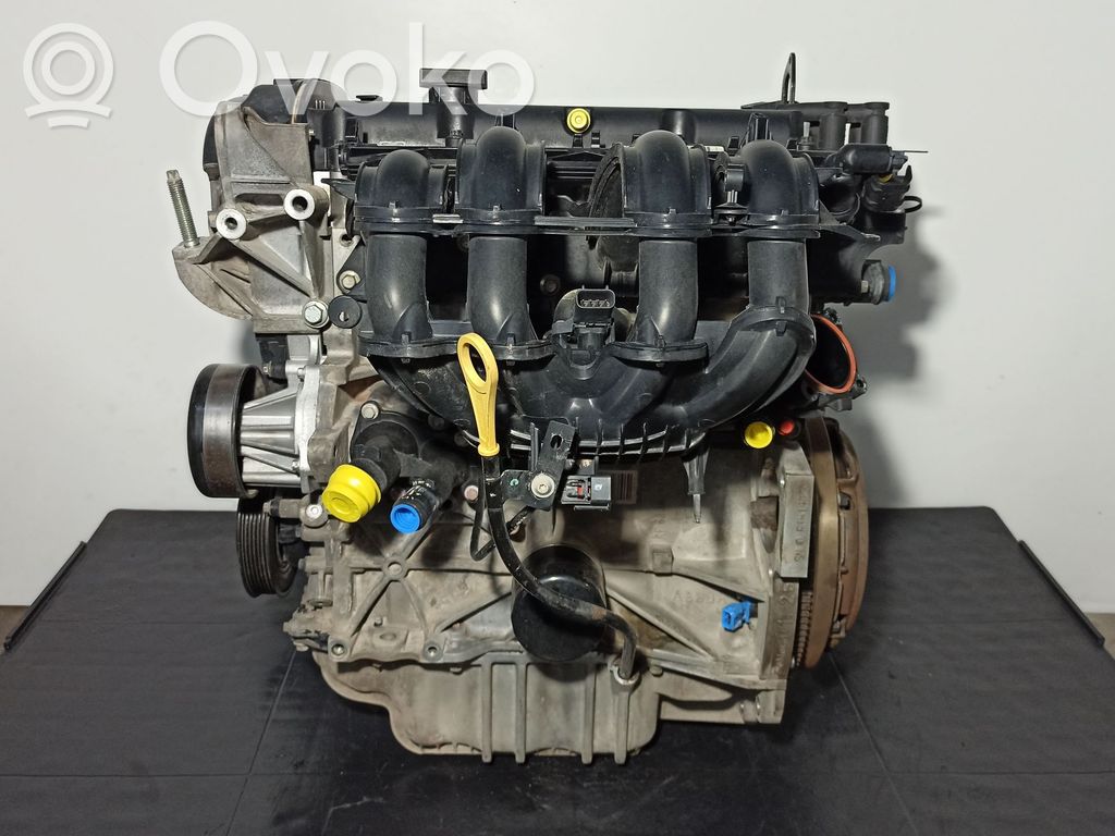 Motor   SNJD,1713369