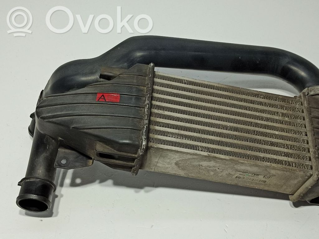 Interkūlerio radiatorius   93179039