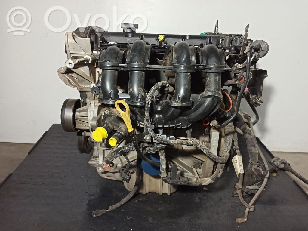 Ford Fiesta Variklis