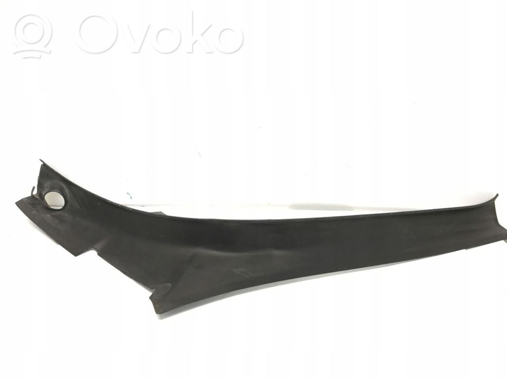Tesla Model X Tailgate trim 