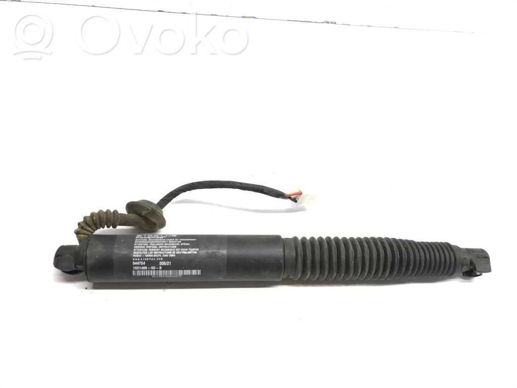 Tailgate strut   155148800B