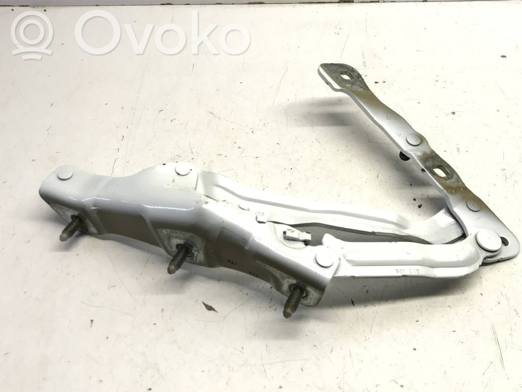 Tesla Model 3 Tailgate/trunk/boot hinge 