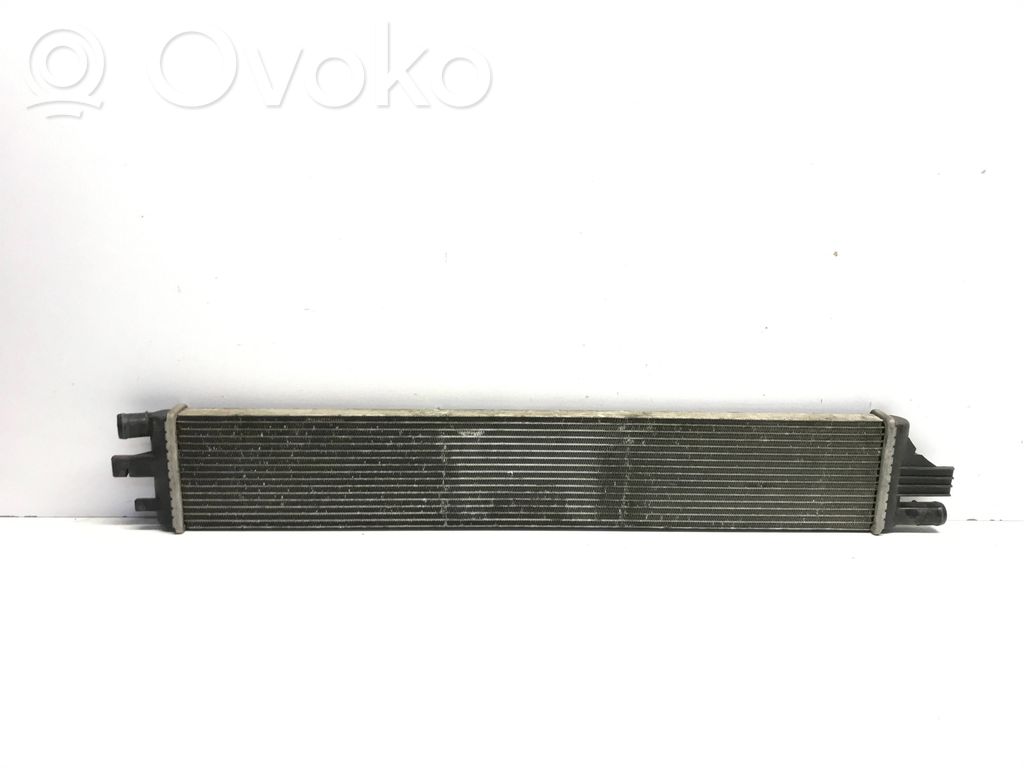 Renault Master III Coolant radiator 