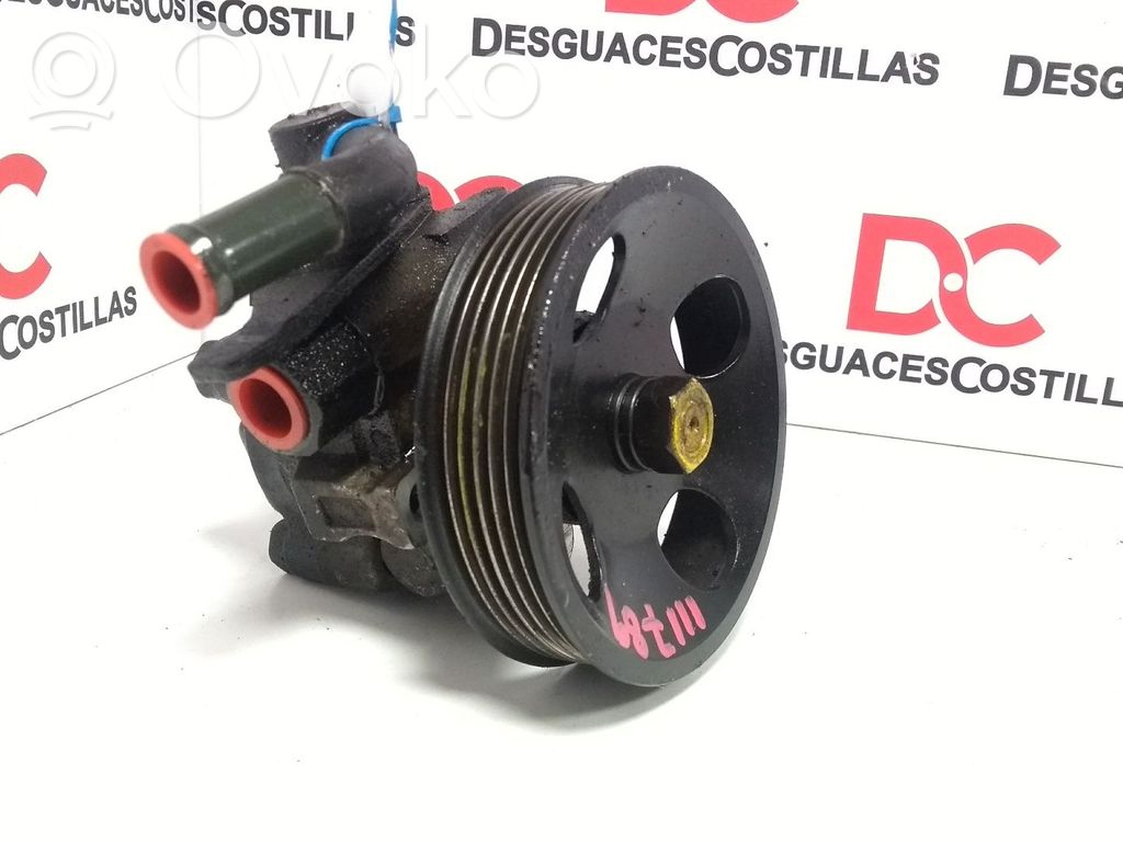 Hyundai Accent Power steering pump 