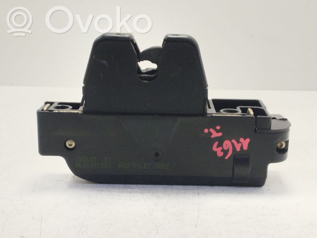 Citroen Xsara Spyna galinio borto 