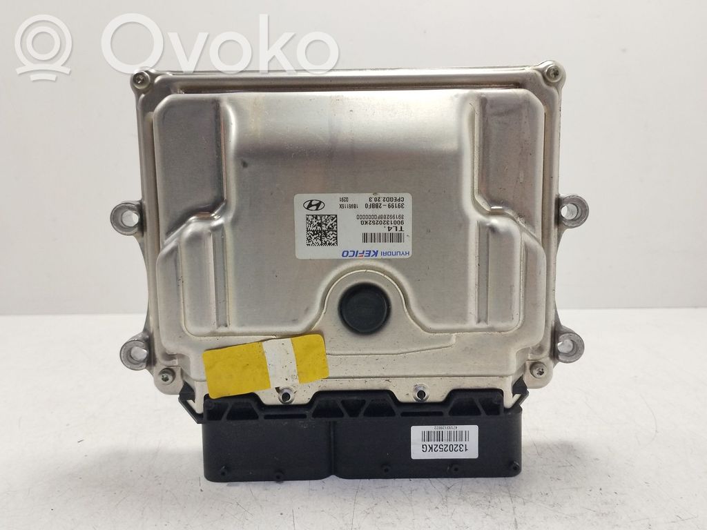 Engine control unit/module   391992BBF0