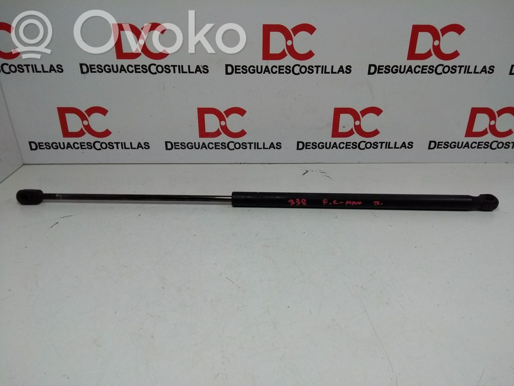 Ford Focus Tailgate/trunk strut/damper 