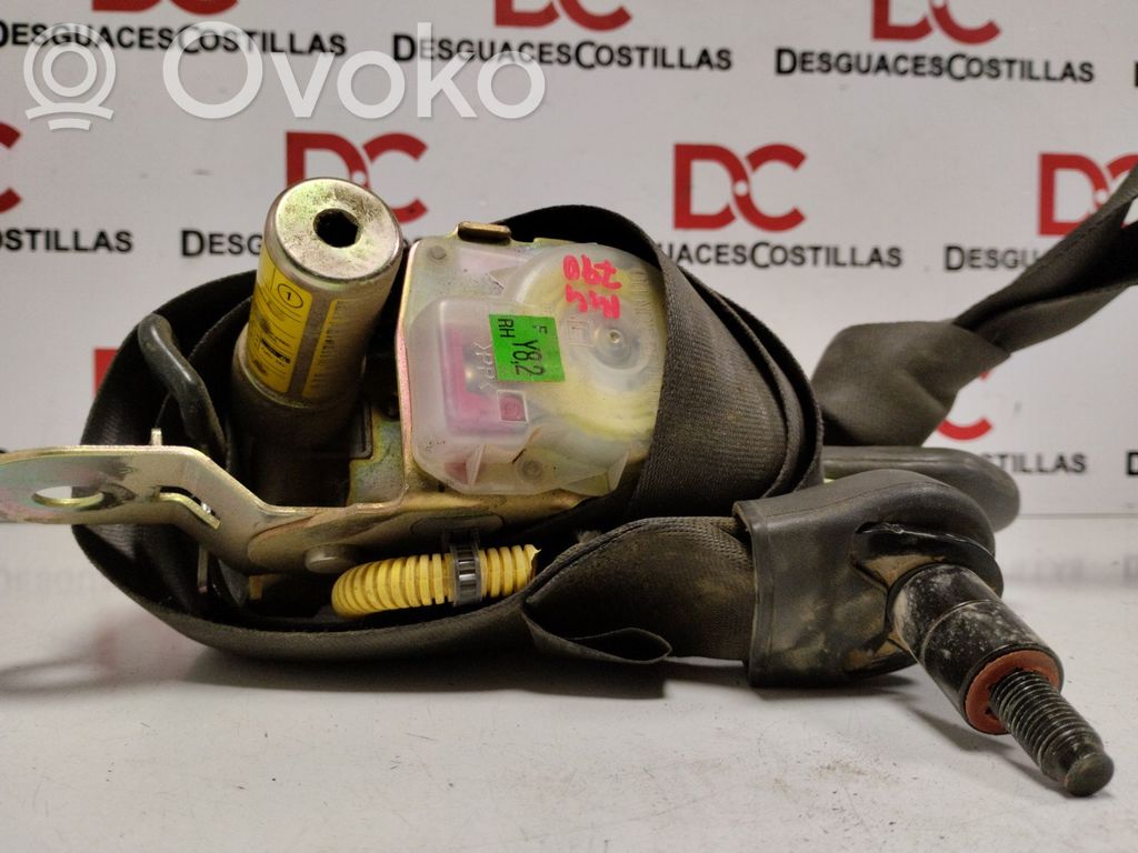 Cinturón delantero   0432022