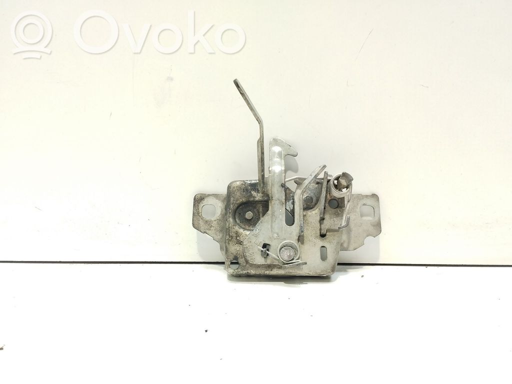Tie down hook / loop   656018201R