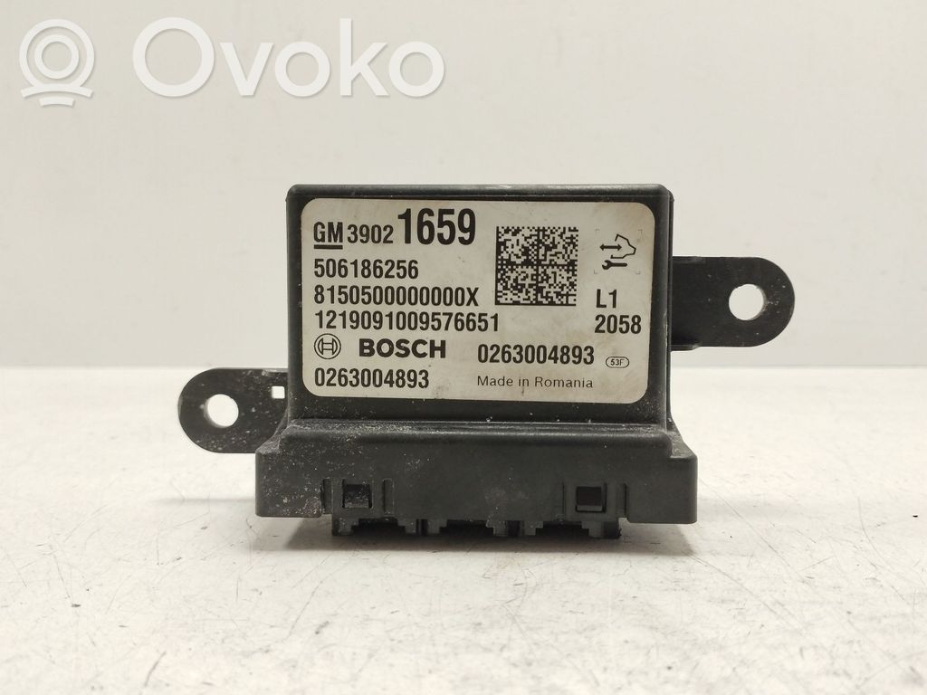 Sonstige Steuergeräte / Module   0263004893