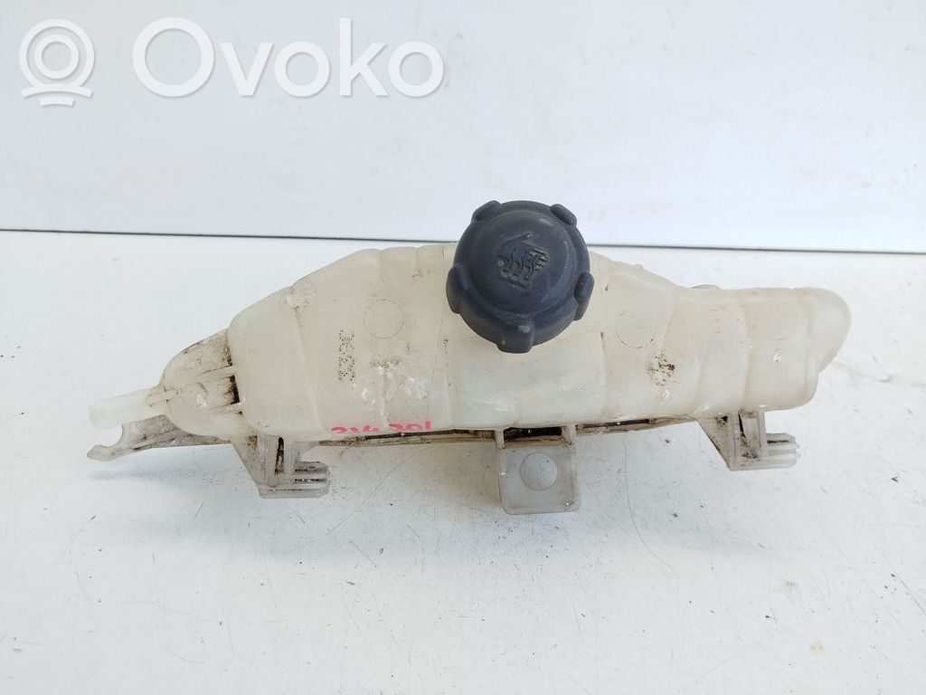 Renault Clio III Kuro išsiplėtimo bakelis 