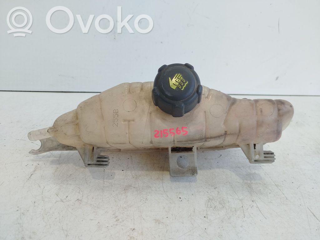 Renault Clio III Kuro išsiplėtimo bakelis 