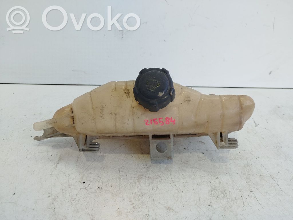 Renault Clio III Kuro išsiplėtimo bakelis 